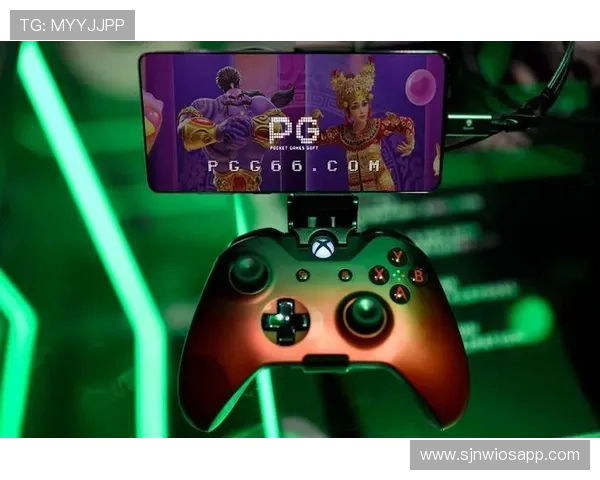 PG游戏网站进入流程详解帮助玩家轻松开启精彩游戏体验